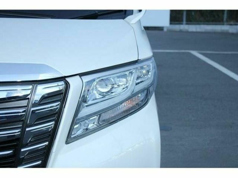 ALPHARD-10