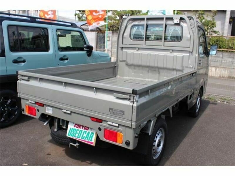 CARRY TRUCK-1