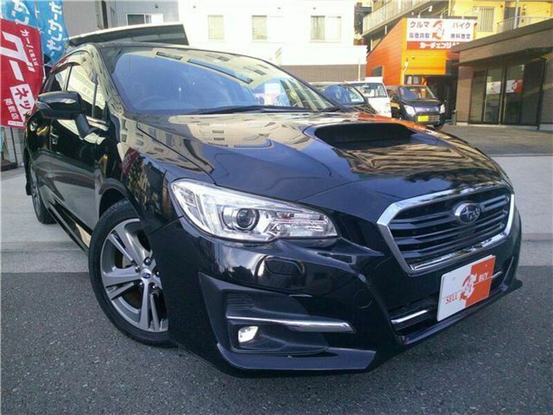 LEVORG