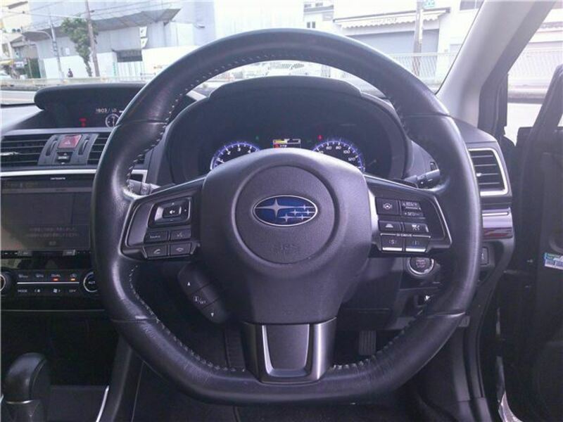 LEVORG-26