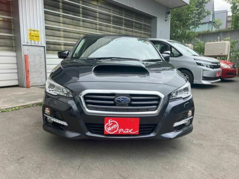 LEVORG-5