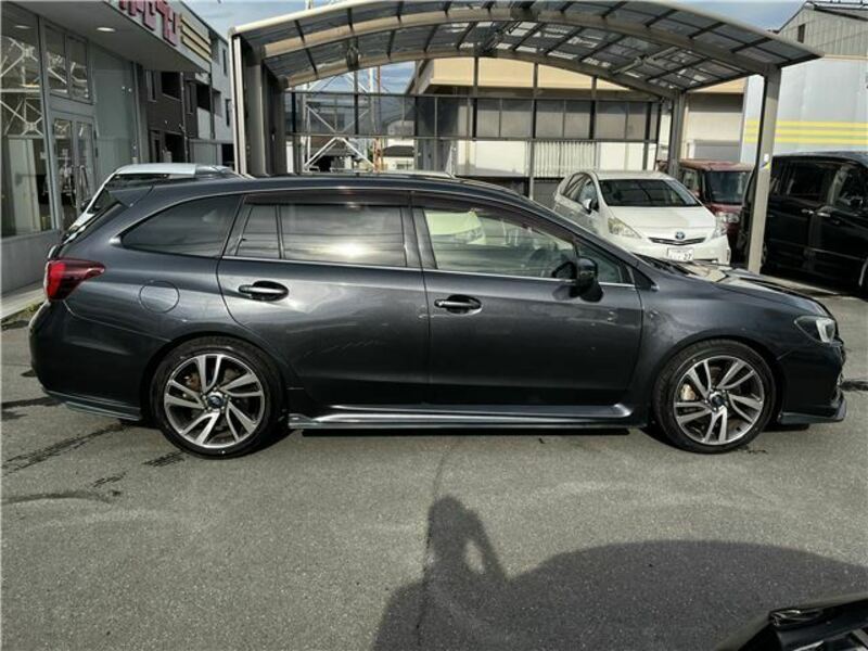 LEVORG-30