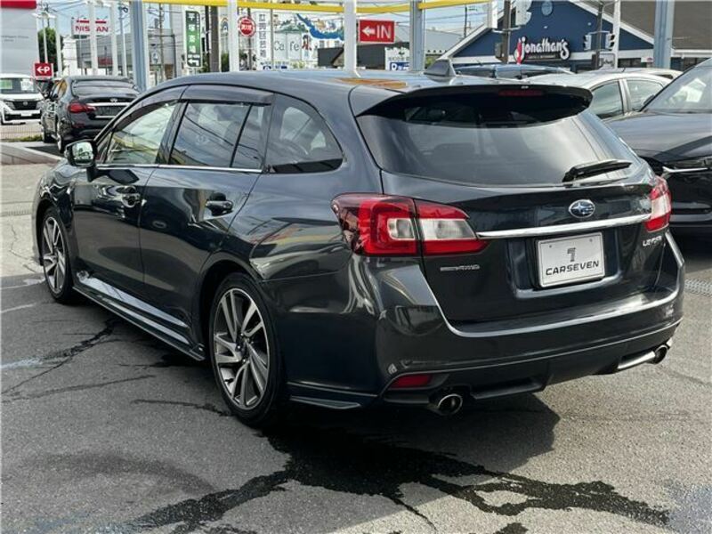 LEVORG-33