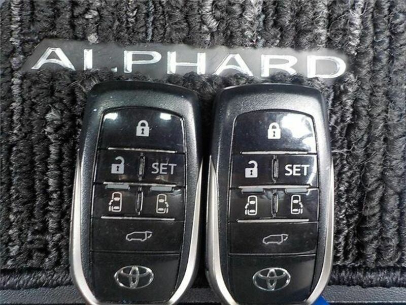 ALPHARD-22