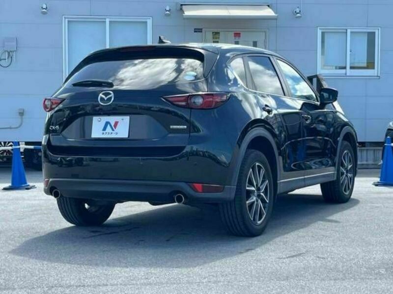 CX-5-19