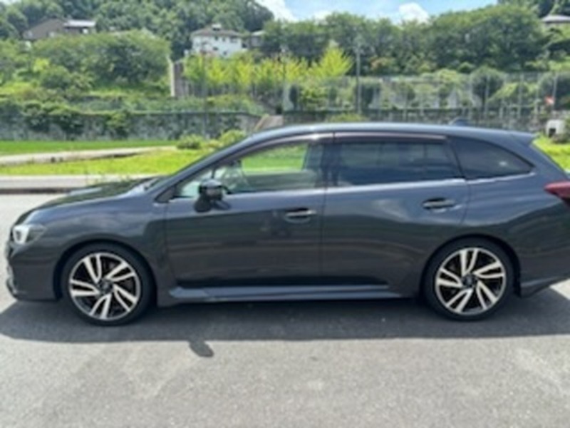 LEVORG