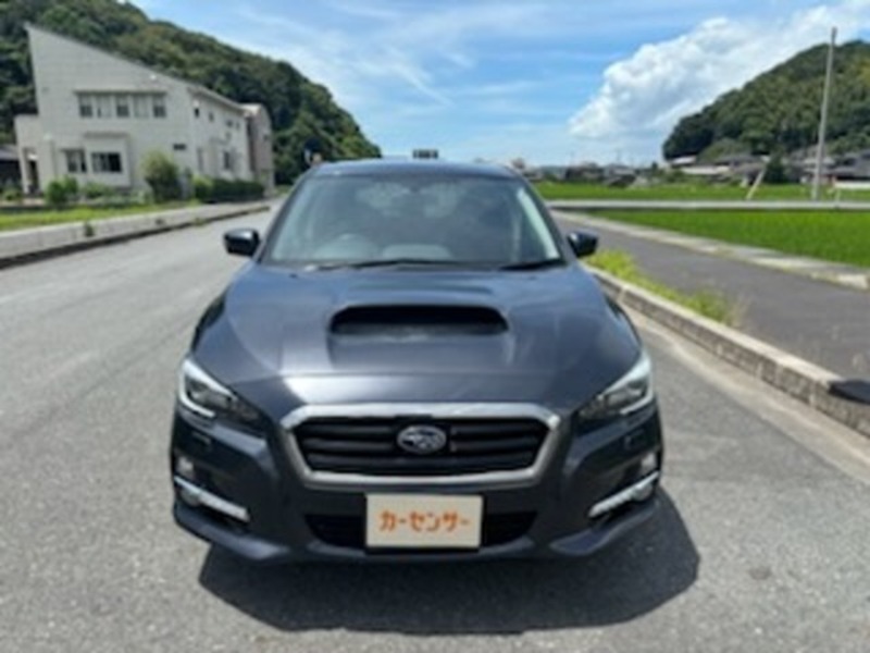 LEVORG