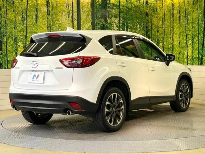 CX-5-17