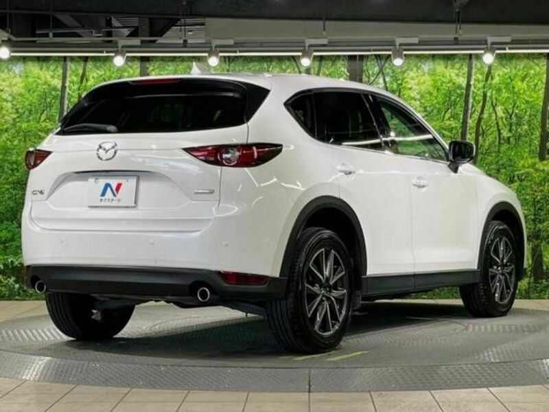 CX-5-17