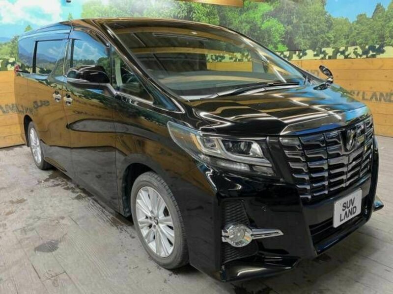 ALPHARD-16