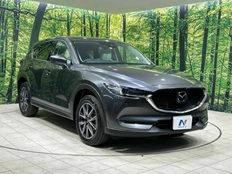 CX-5-16