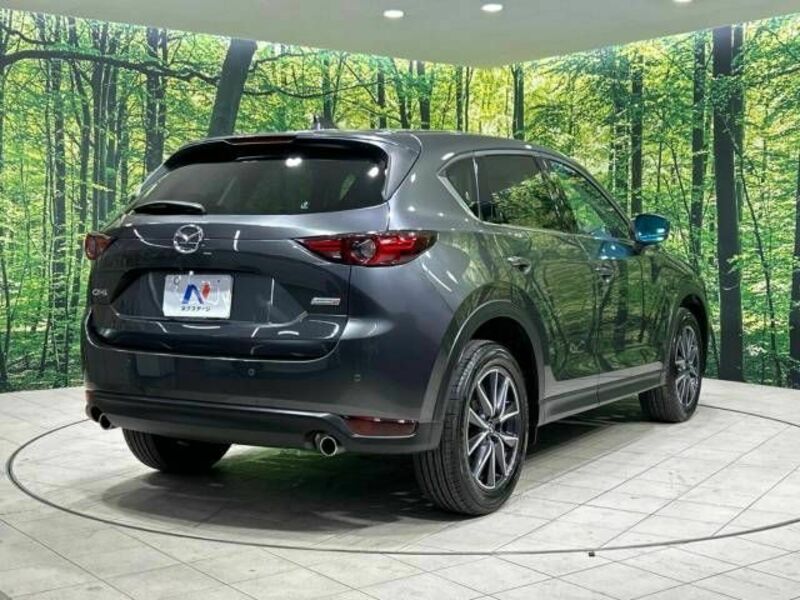 CX-5-17