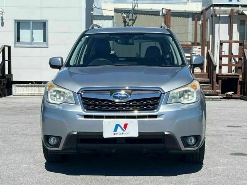 FORESTER-17