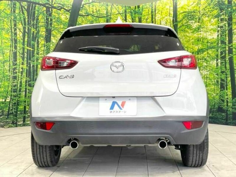 CX-3-15