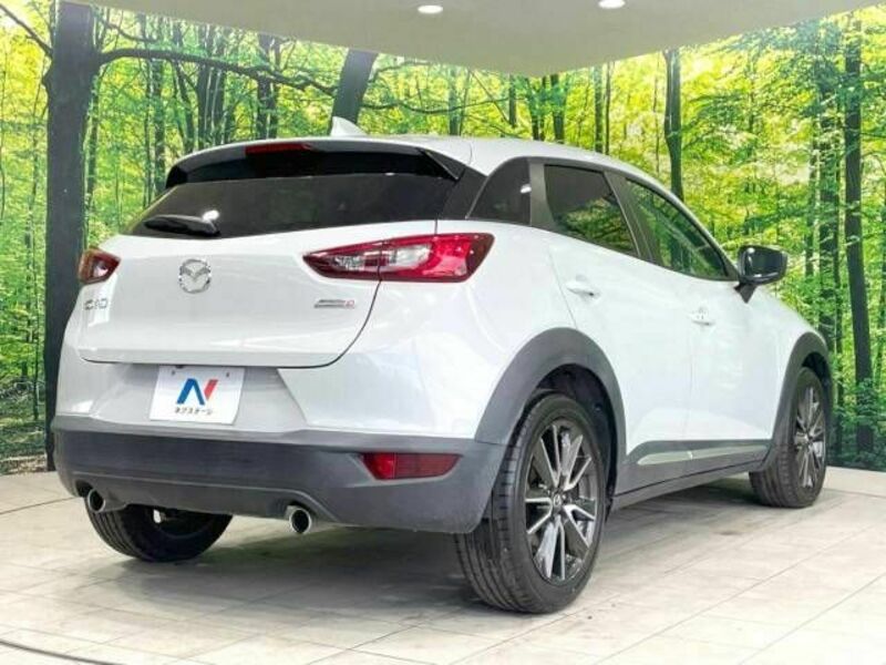 CX-3-17