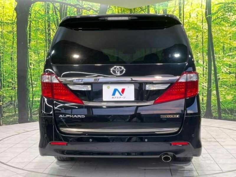 ALPHARD-14