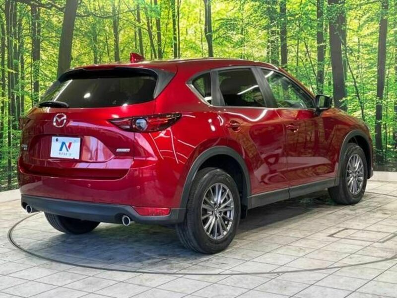 CX-5-17