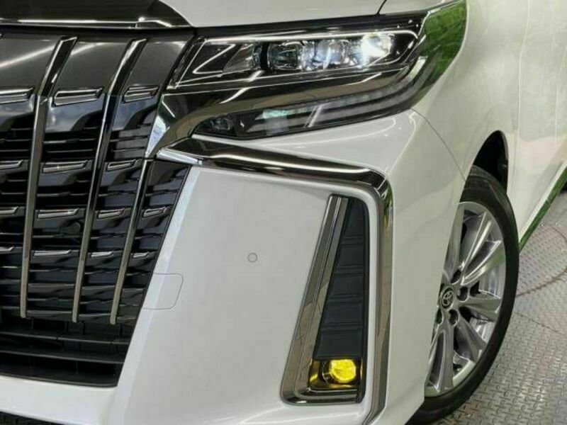 ALPHARD-13