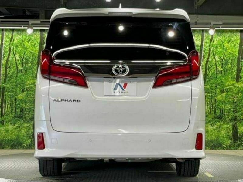 ALPHARD-16