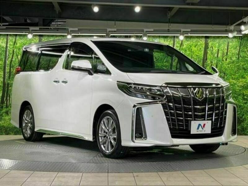 ALPHARD-17