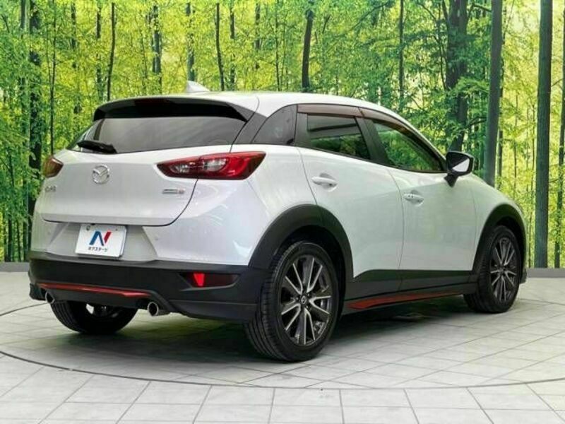 CX-3-17