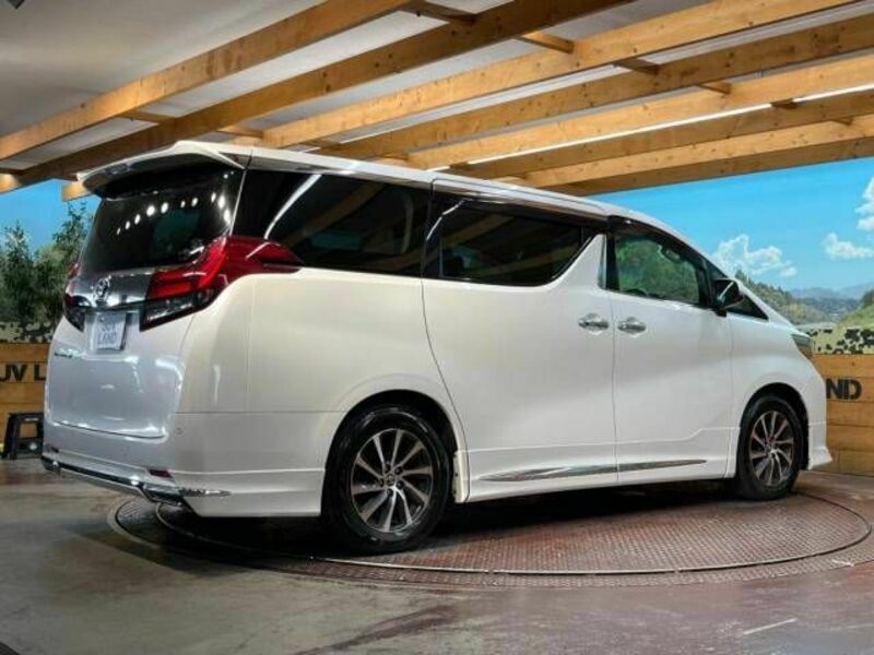 ALPHARD-16