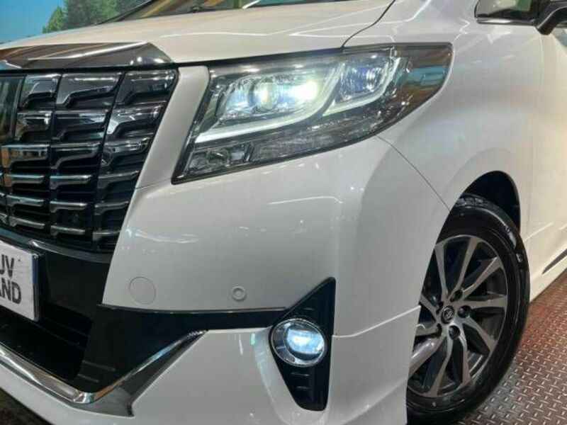 ALPHARD-17