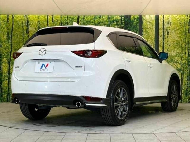 CX-5-17