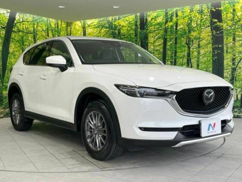 CX-5-16