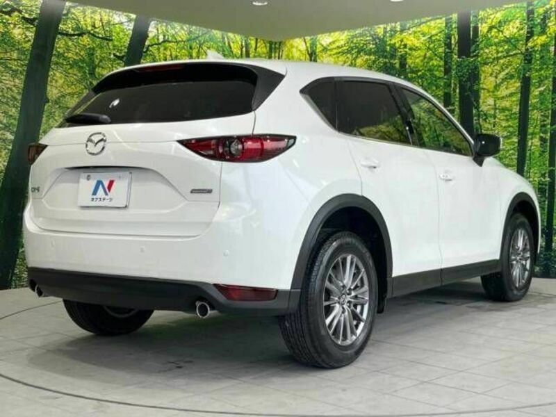 CX-5-17