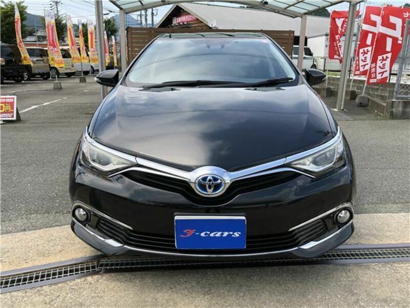 AURIS-32