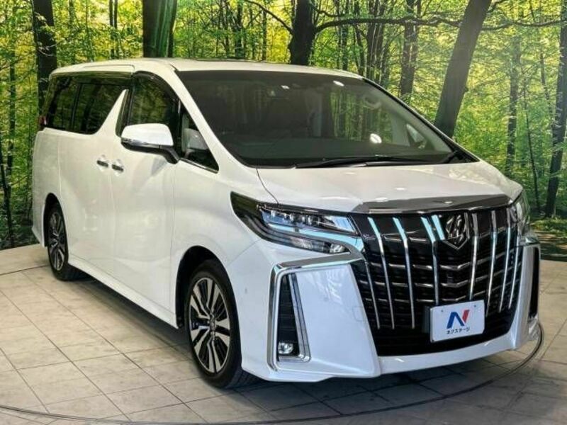 ALPHARD-17