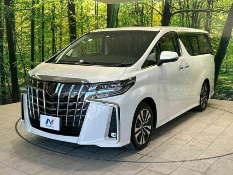 ALPHARD-18