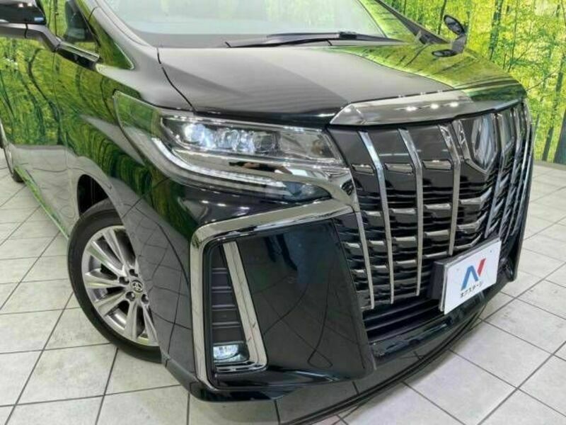 ALPHARD-13