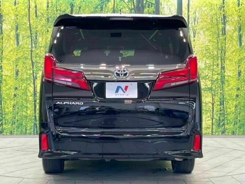 ALPHARD-16