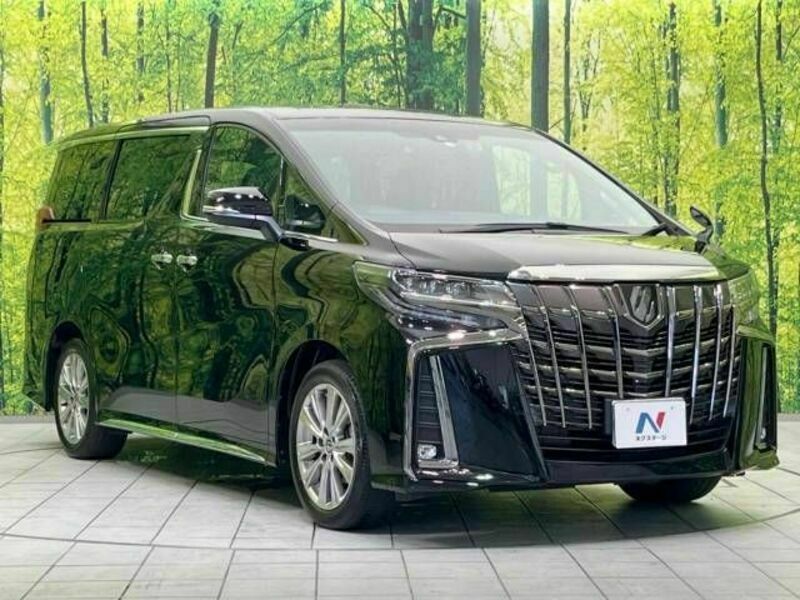 ALPHARD-17