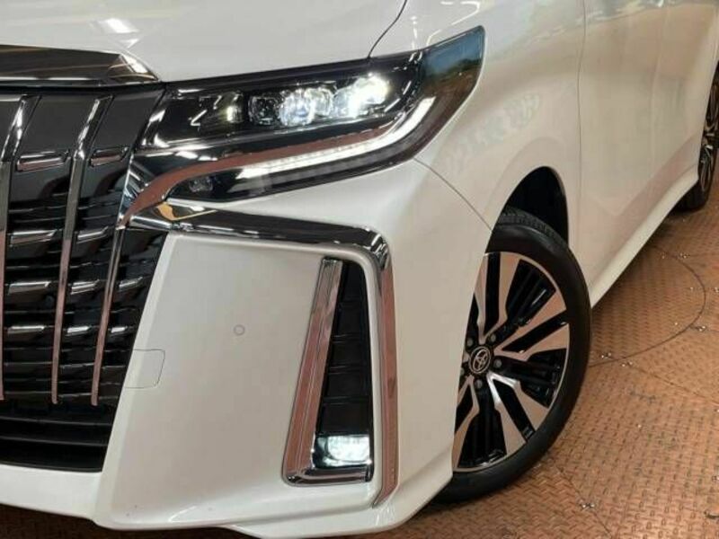 ALPHARD-14