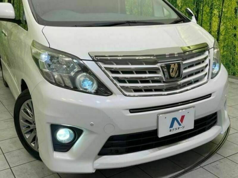 ALPHARD-13