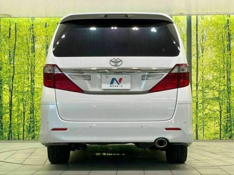 ALPHARD-16