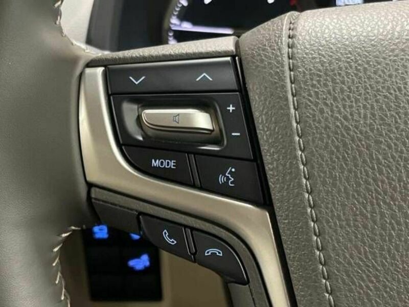 LAND CRUISER PRADO-14