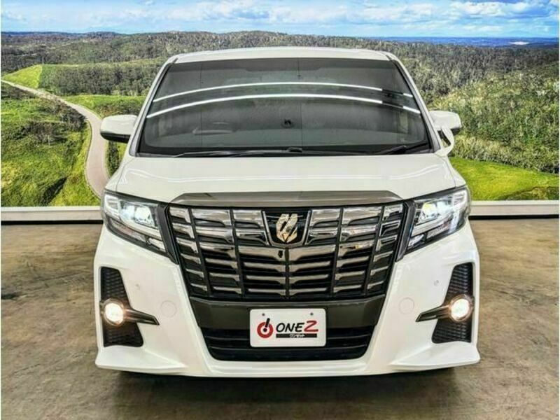 ALPHARD-13