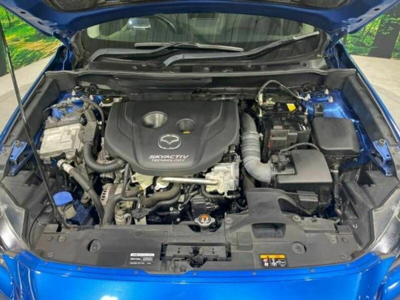CX-3