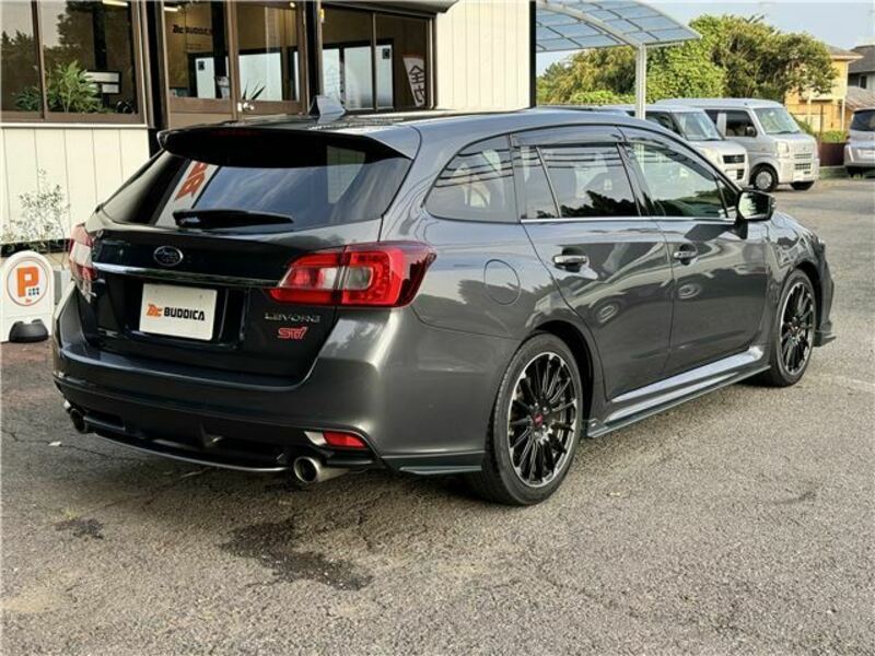 LEVORG-8