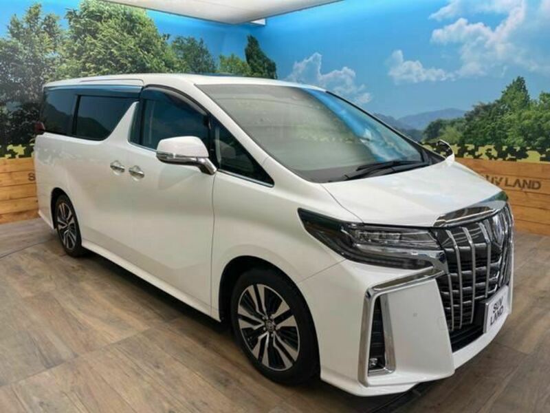 ALPHARD-16