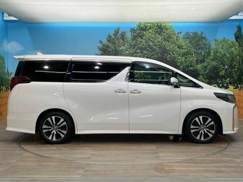 ALPHARD-38