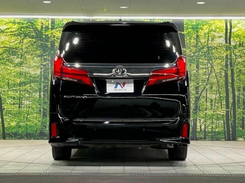 ALPHARD-4