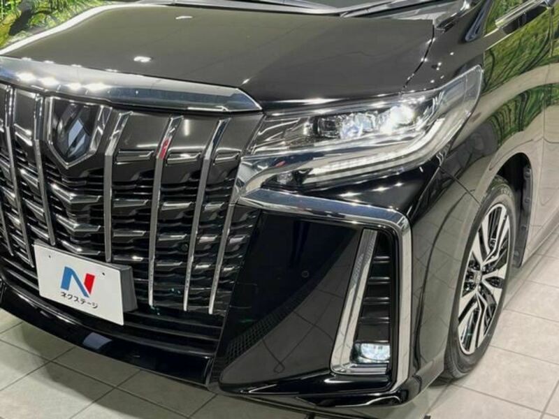 ALPHARD-11