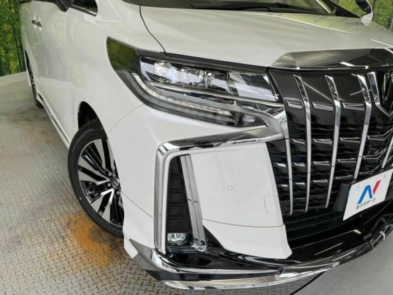 ALPHARD-13