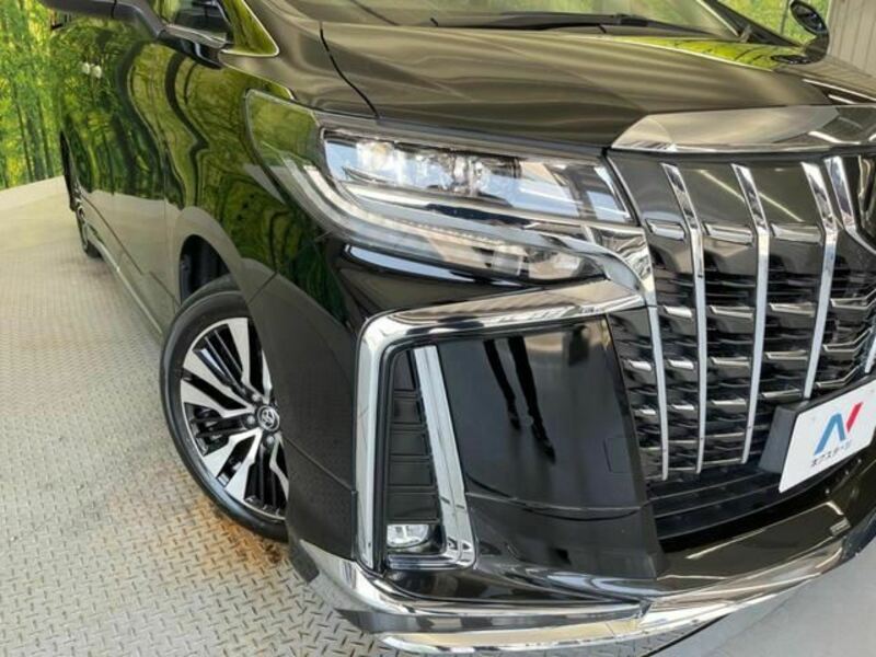 ALPHARD-12