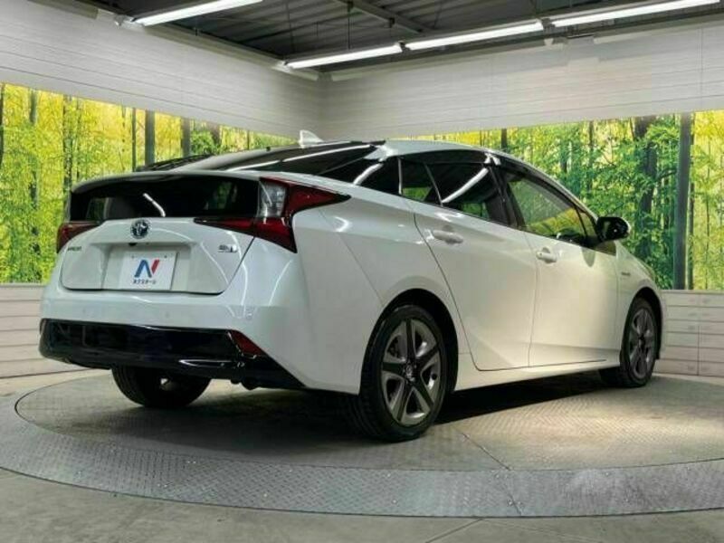 PRIUS-17